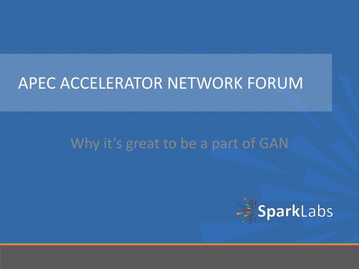 apec accelerator network forum