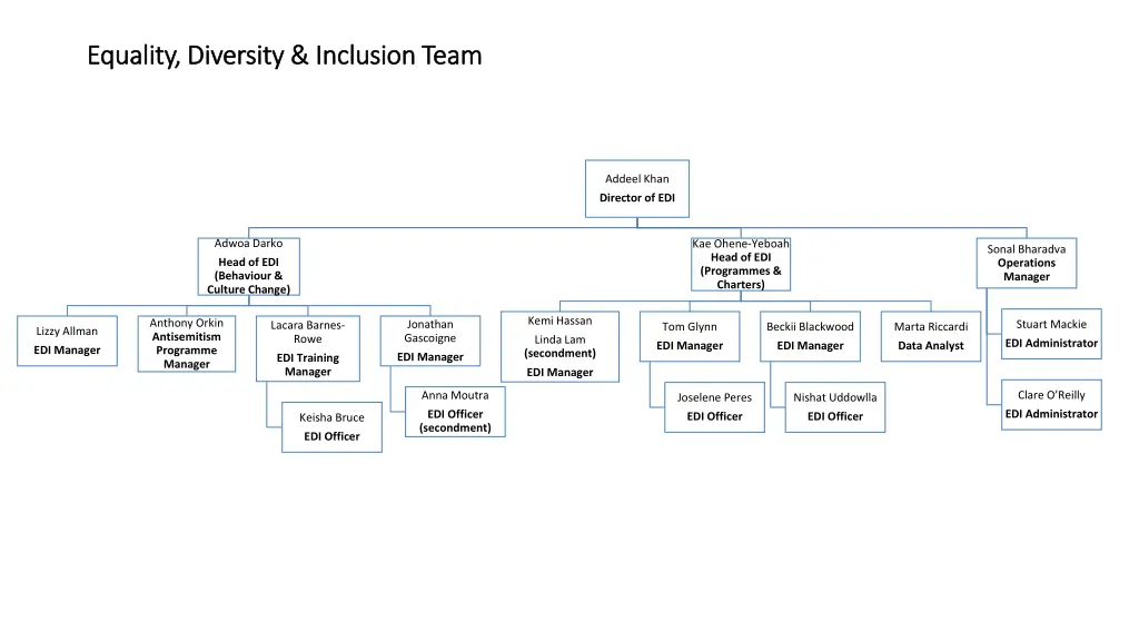 equality diversity inclusion team equality