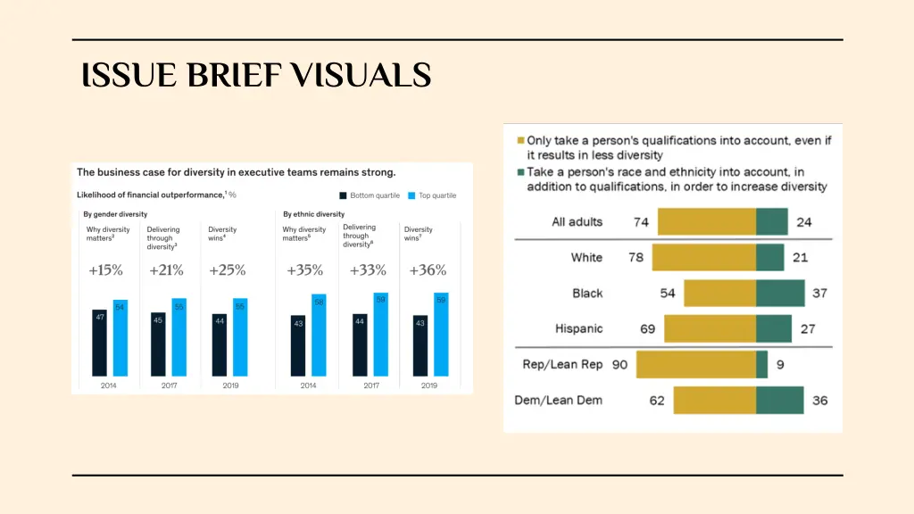 issue brief visuals