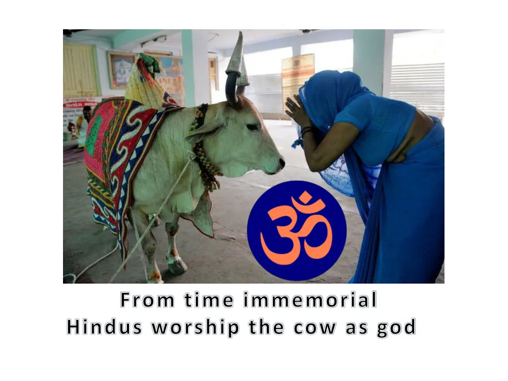 from time immemorial hindus worship the cow as god