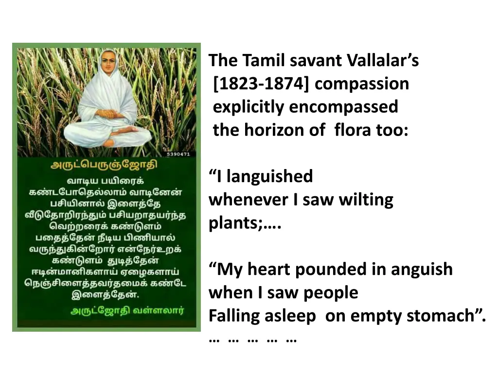 the tamil savant vallalar s 1823 1874 compassion