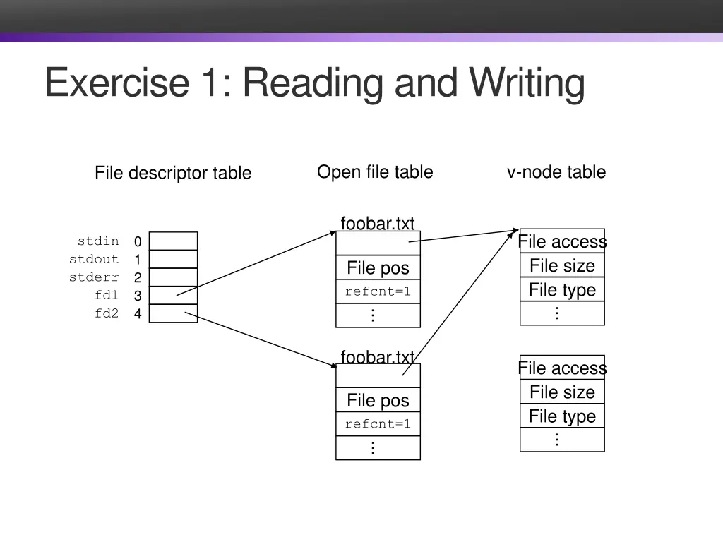 exercise 1 reading and writing 1