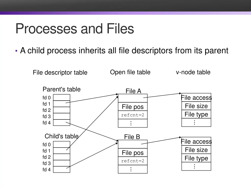 processes and files