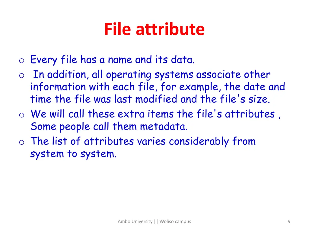 file attribute