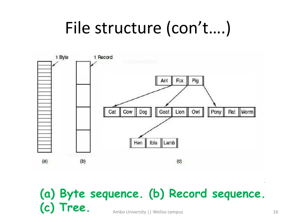file structure con t