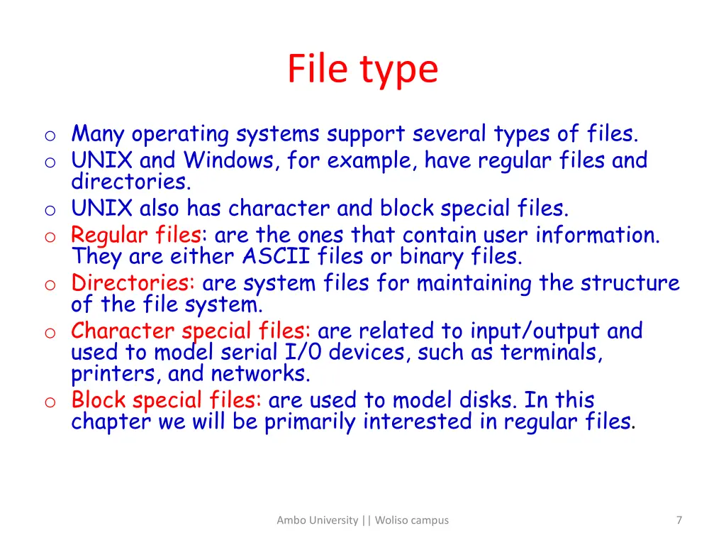 file type