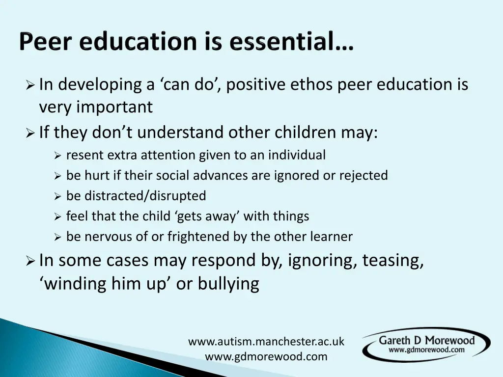 in developing a can do positive ethos peer