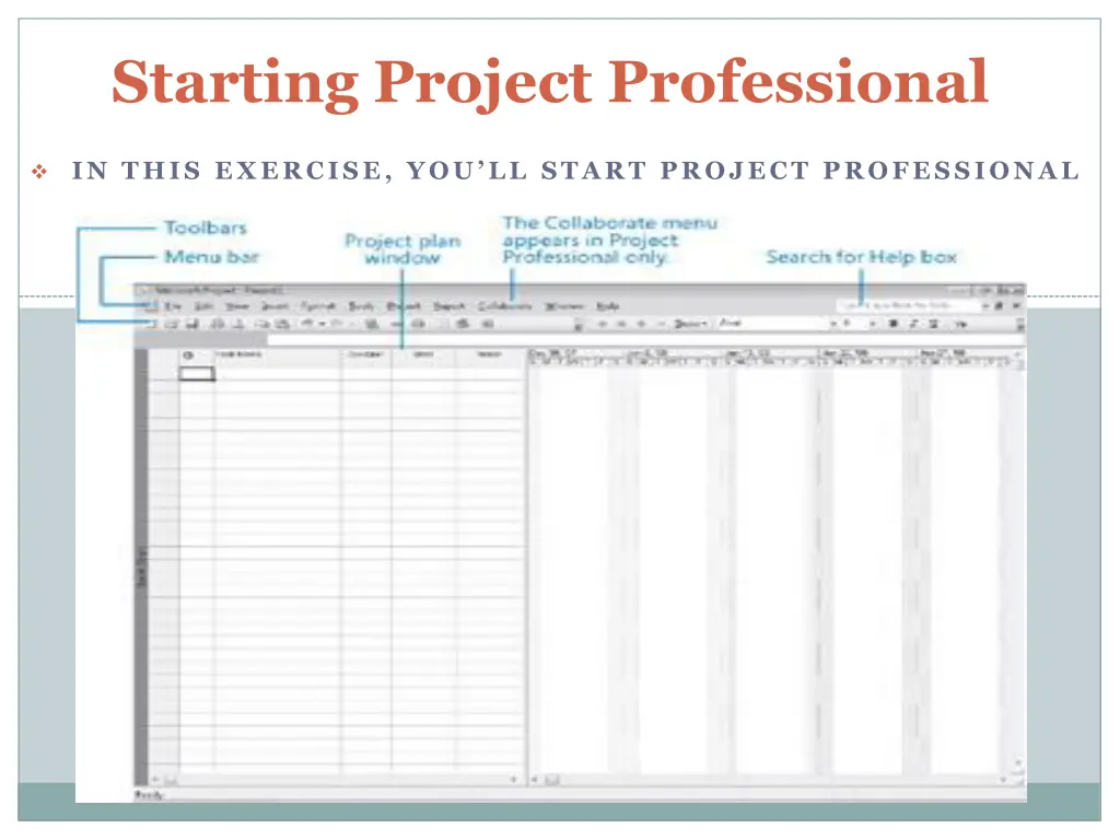 starting project professional