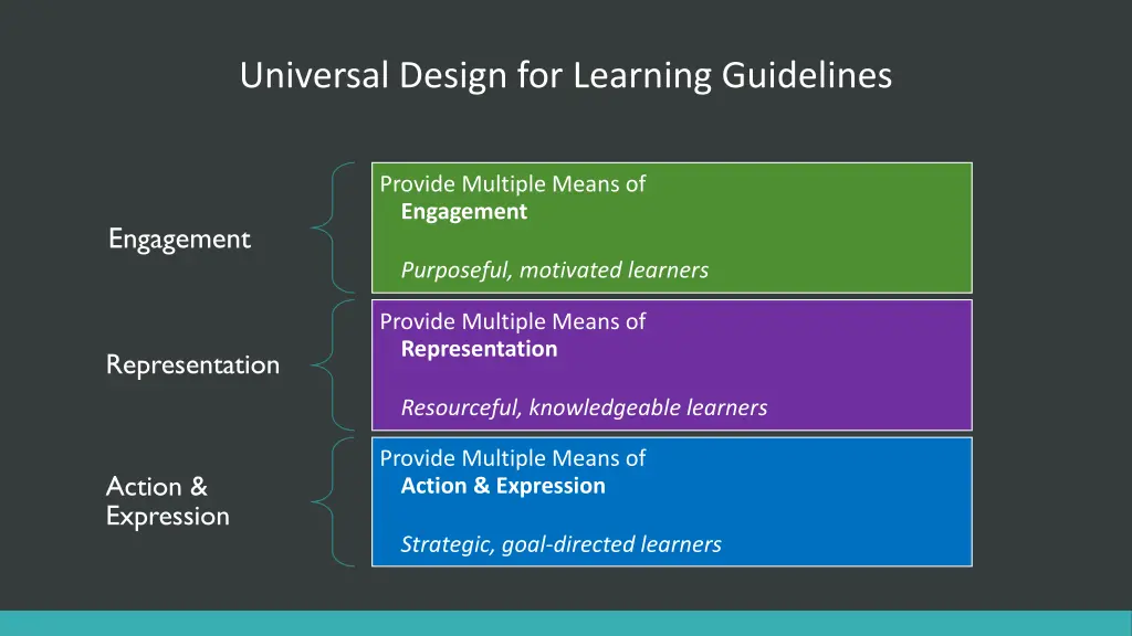universal design for learning guidelines