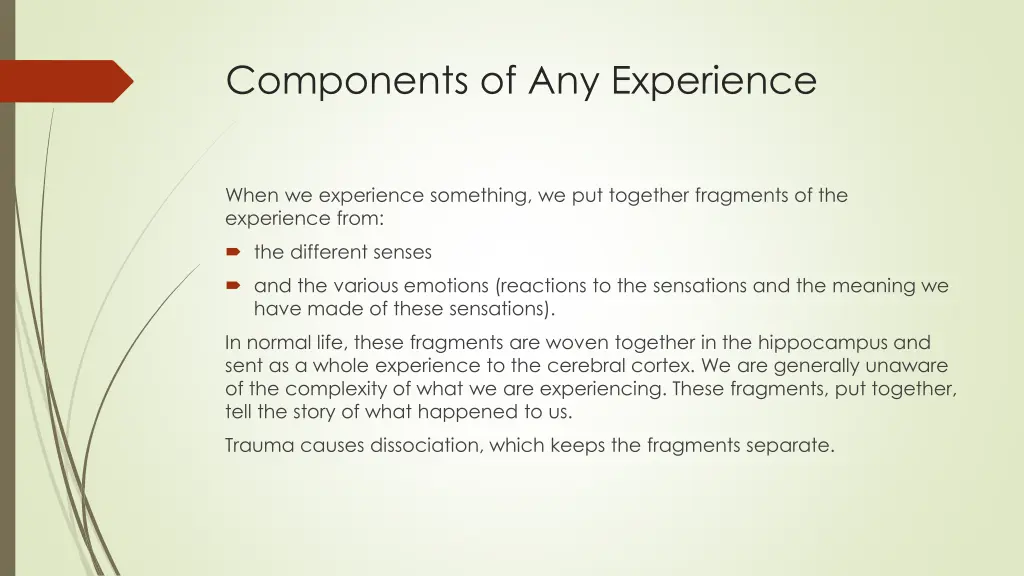 components of any experience