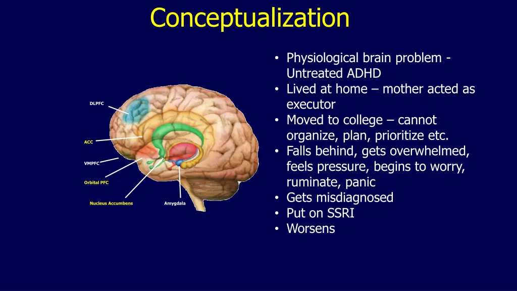 conceptualization 3