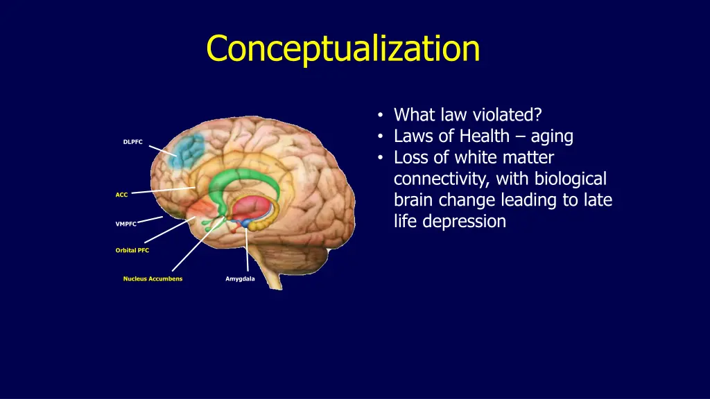 conceptualization 6