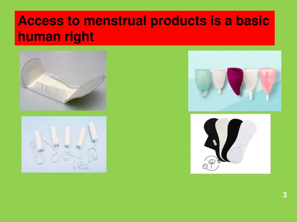 access to menstrual products is a basic human