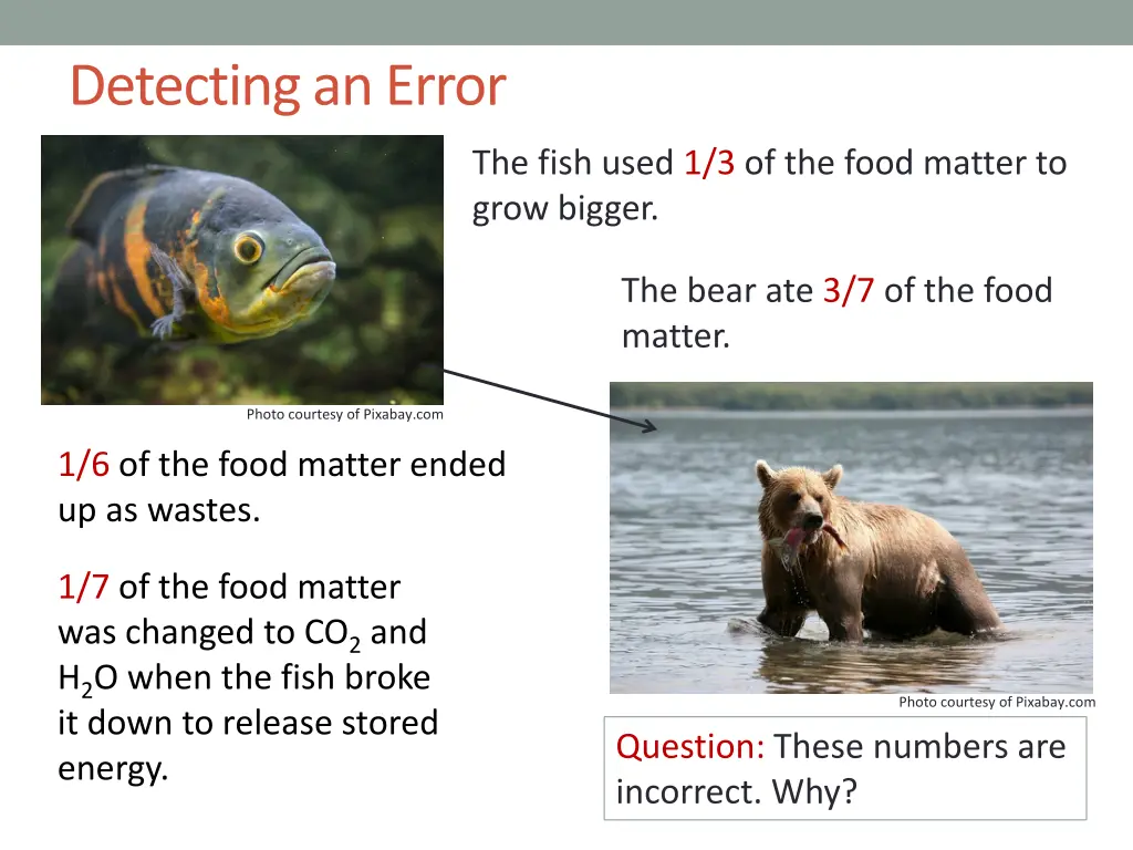detecting an error