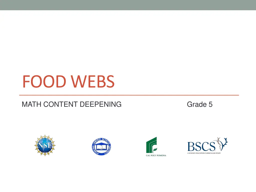 food webs
