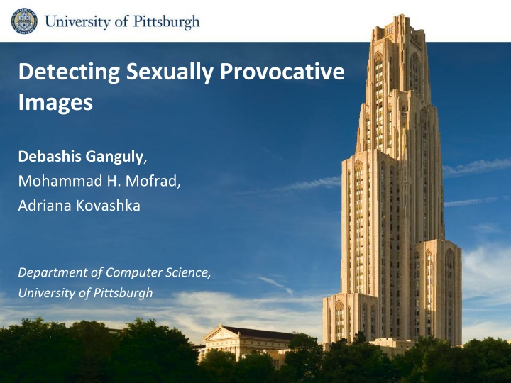 detecting sexually provocative images