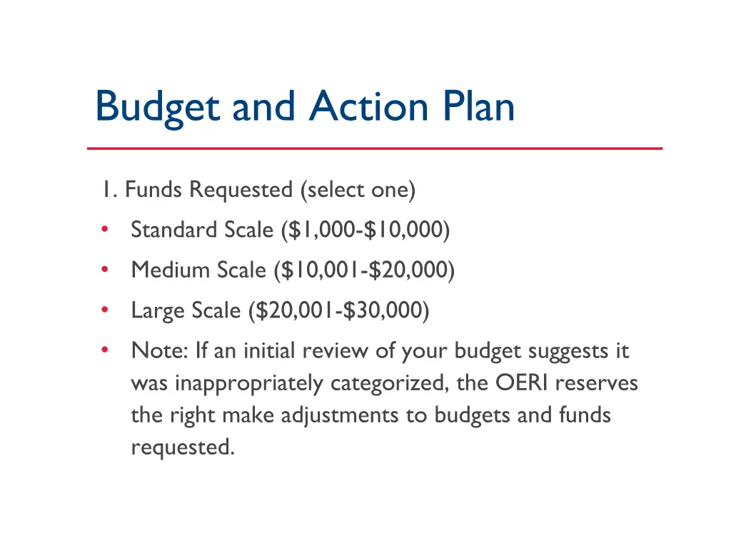 budget and action plan