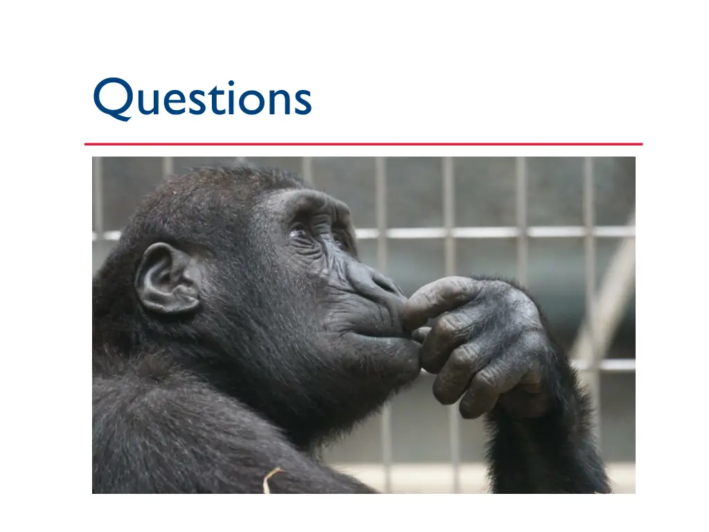 questions