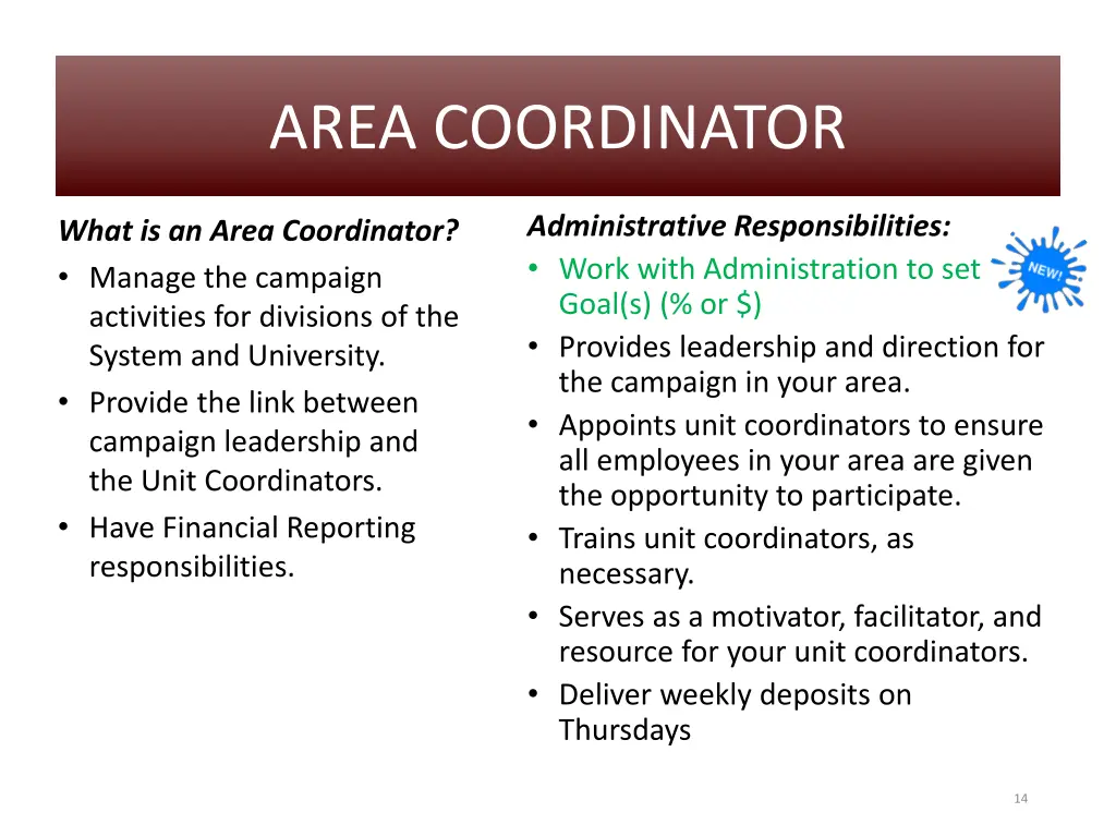 area coordinator