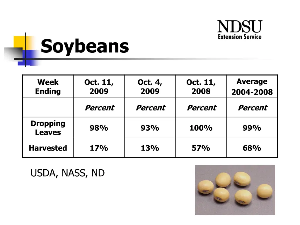 soybeans