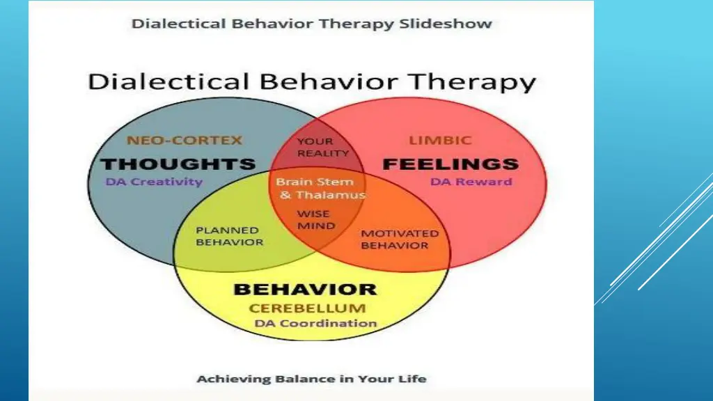 slide15
