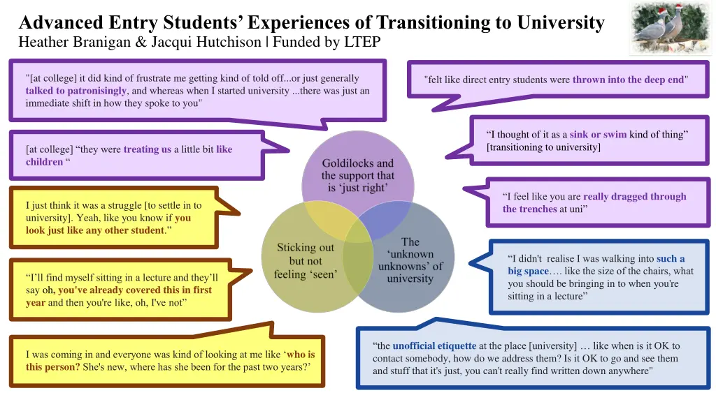advanced entry students experiences