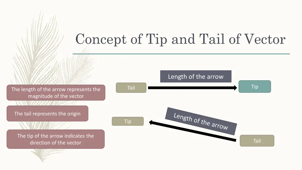 concept of tip and tail of vector