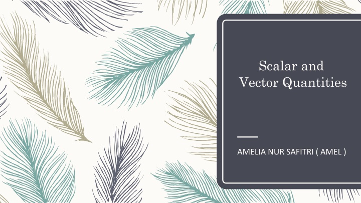 scalar and vector quantities