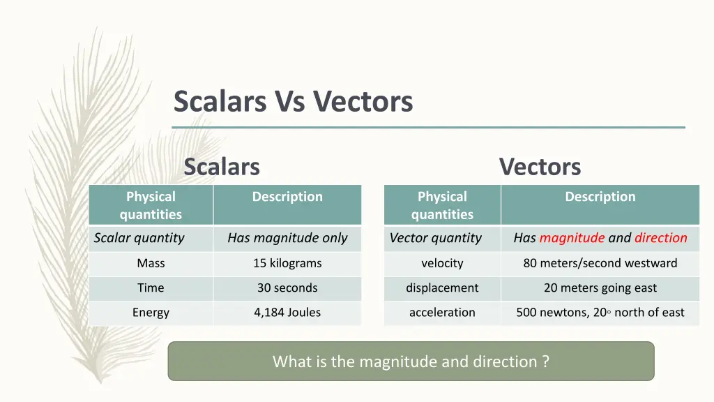 scalars vs vectors