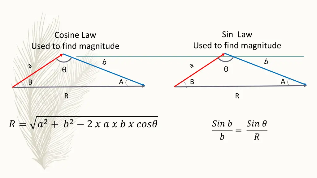 sin law
