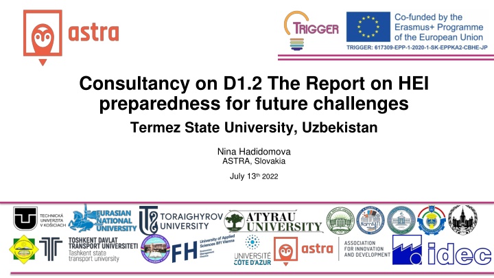 consultancy on d1 2 the report