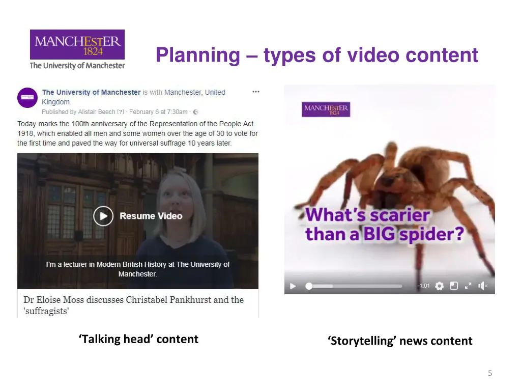 planning types of video content