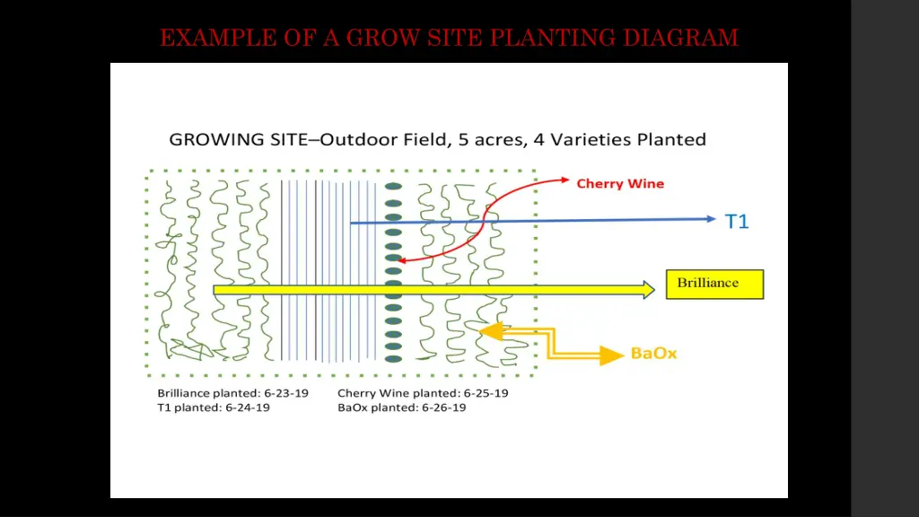 example of a grow site planting diagram