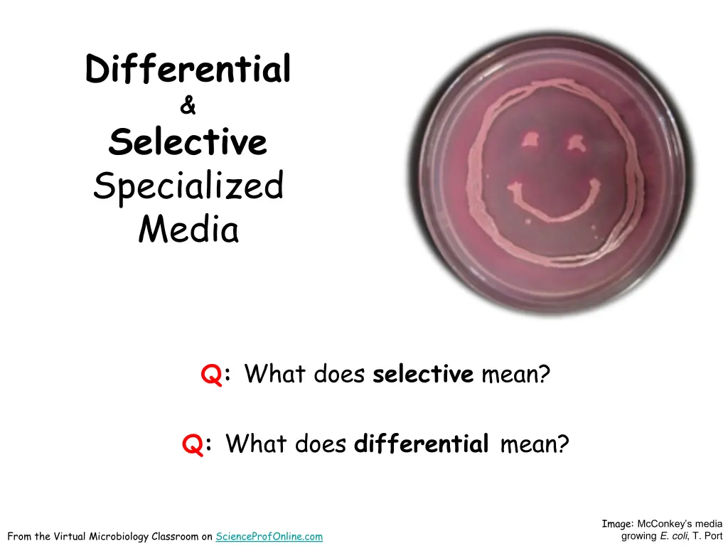 differential selective specialized media