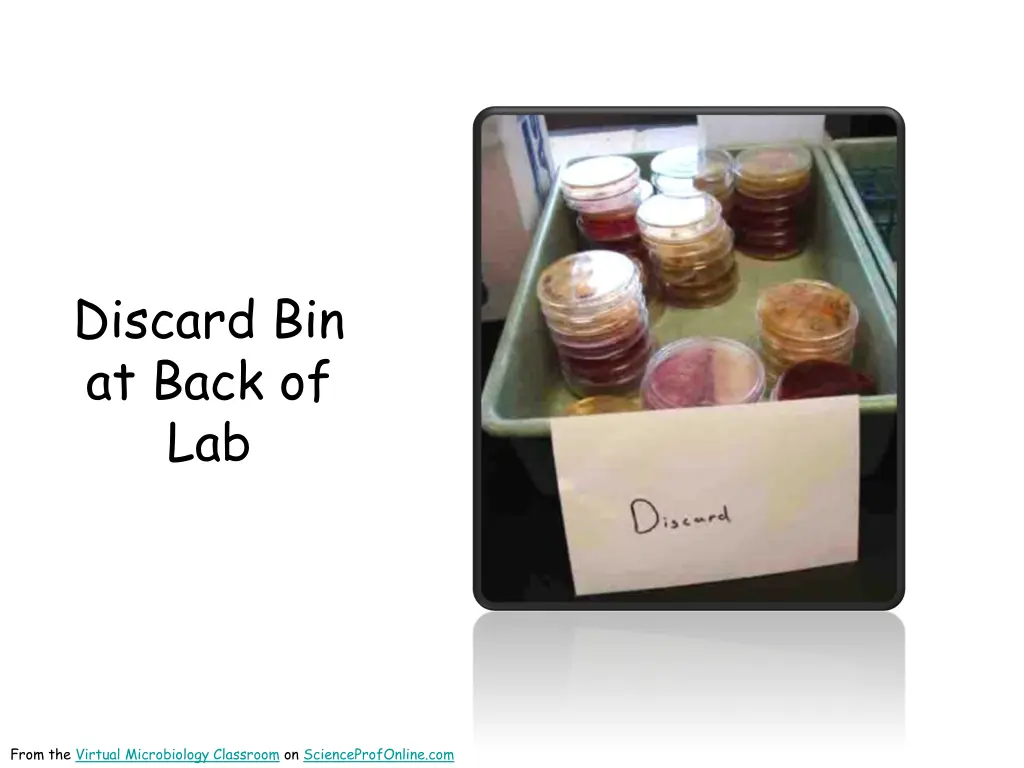 discard bin at back of lab