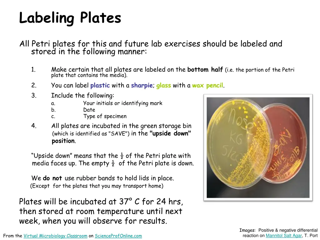 labeling plates