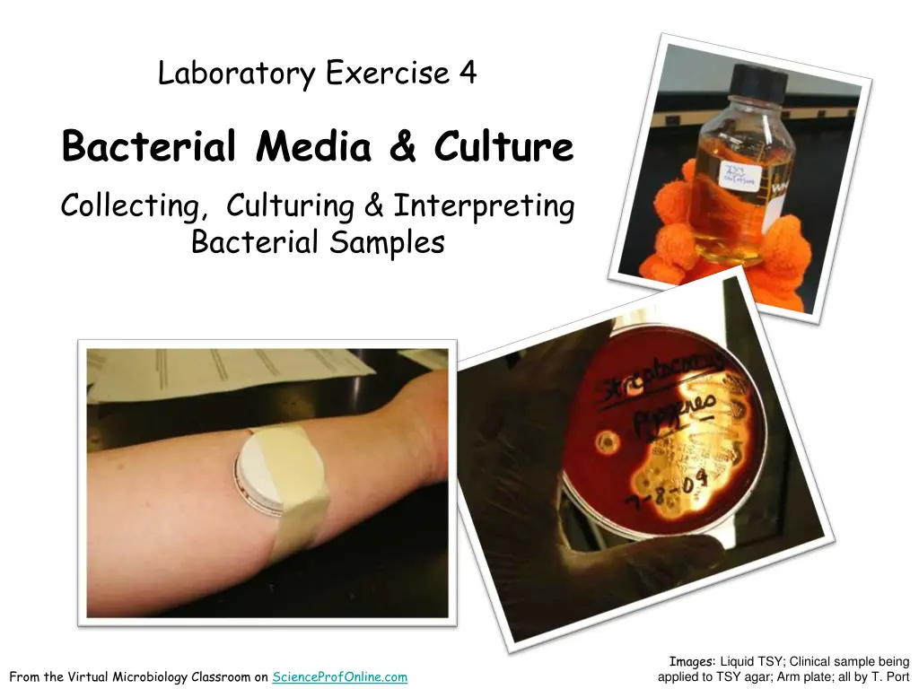laboratory exercise 4