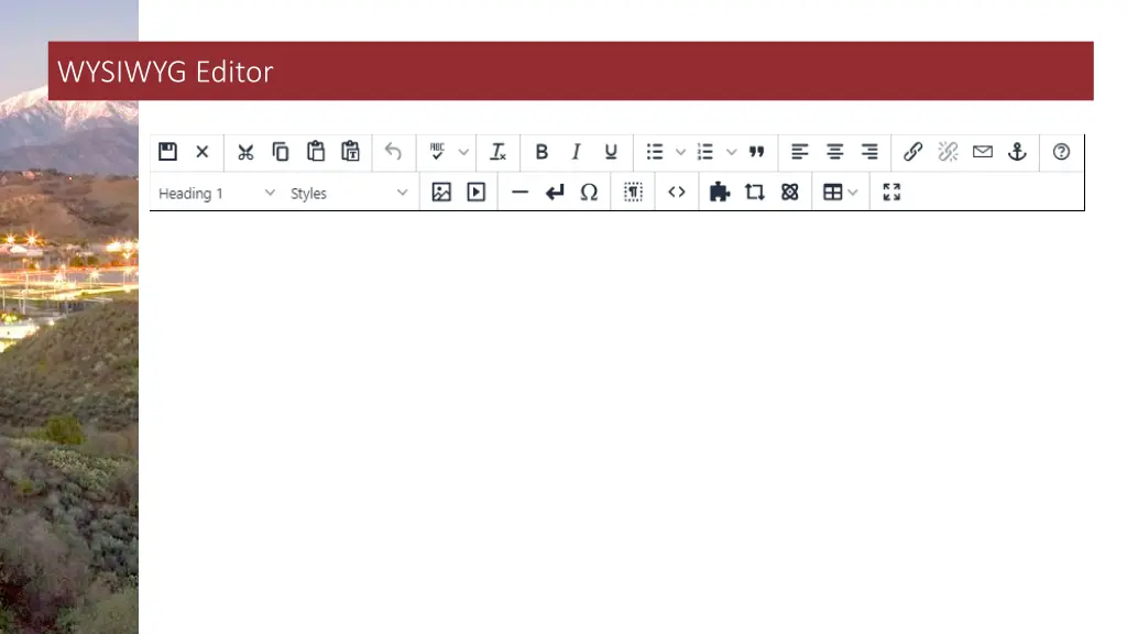 wysiwyg editor