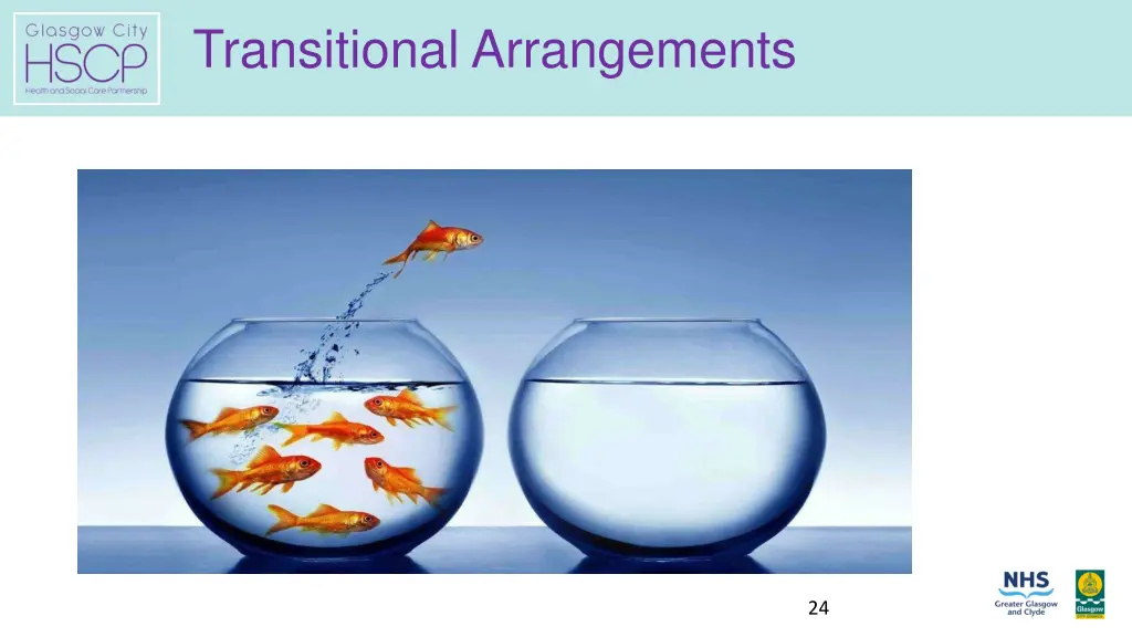 transitional arrangements