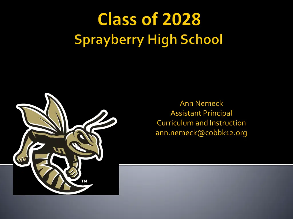 ann nemeck assistant principal curriculum