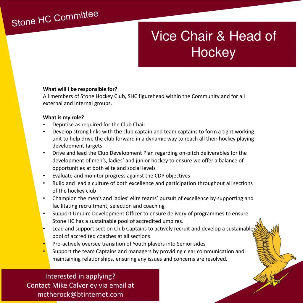 vice chair head of hockey