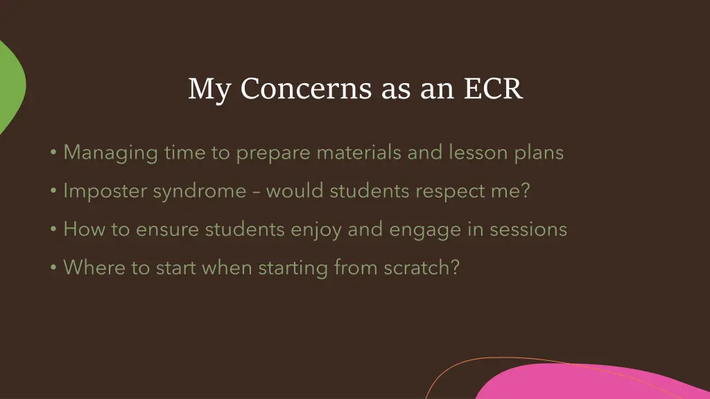 my concerns as an ecr