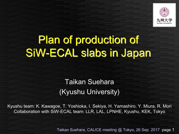 plan of production of siw ecal slabs in japan