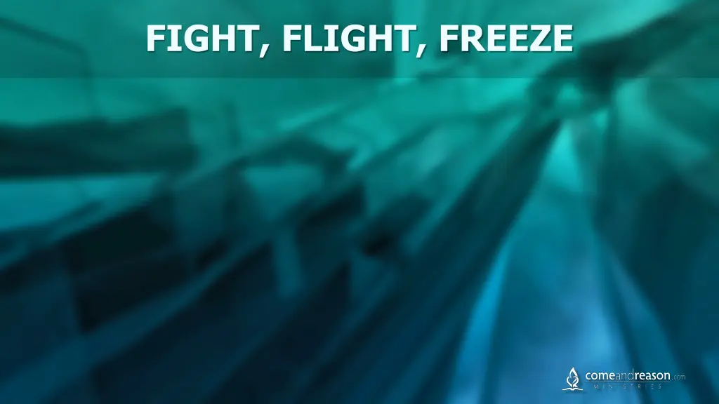 fight flight freeze