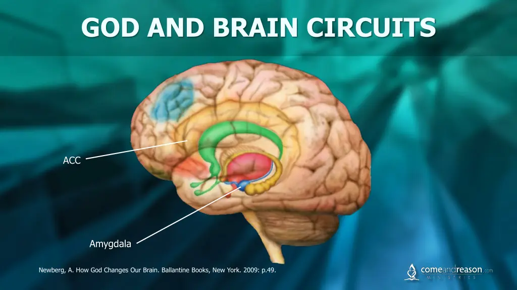 god and brain circuits