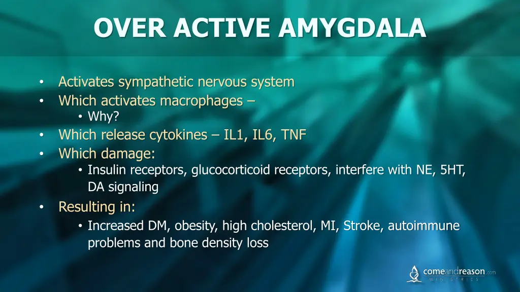 over active amygdala