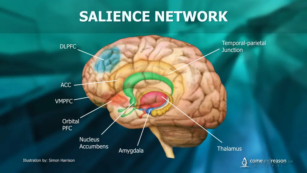 salience network