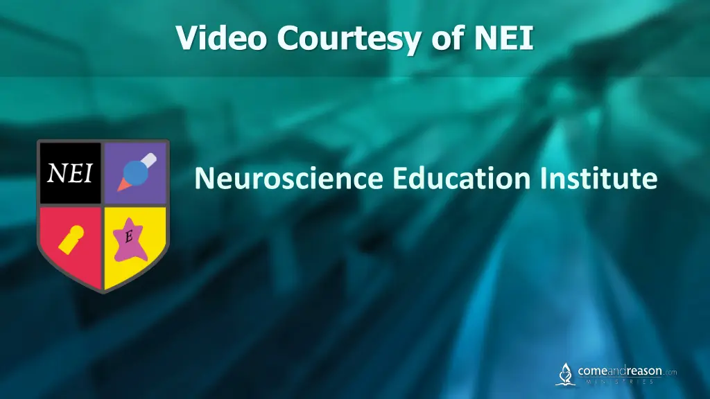 video courtesy of nei