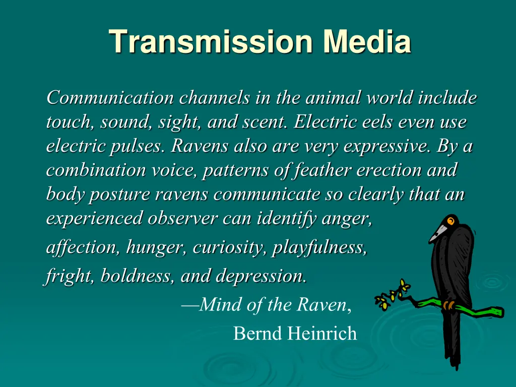 transmission media