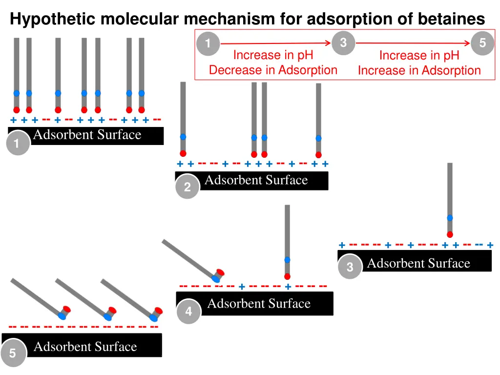 hypothetic molecular mechanism for adsorption